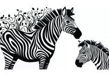 zebra_na_scianie_2.jpg